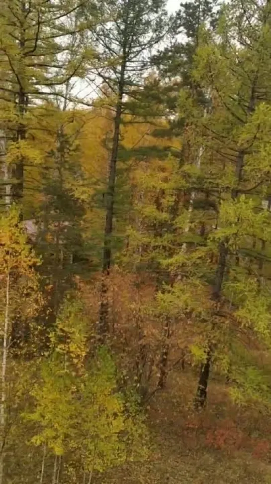 Видео от Сергея Туркова