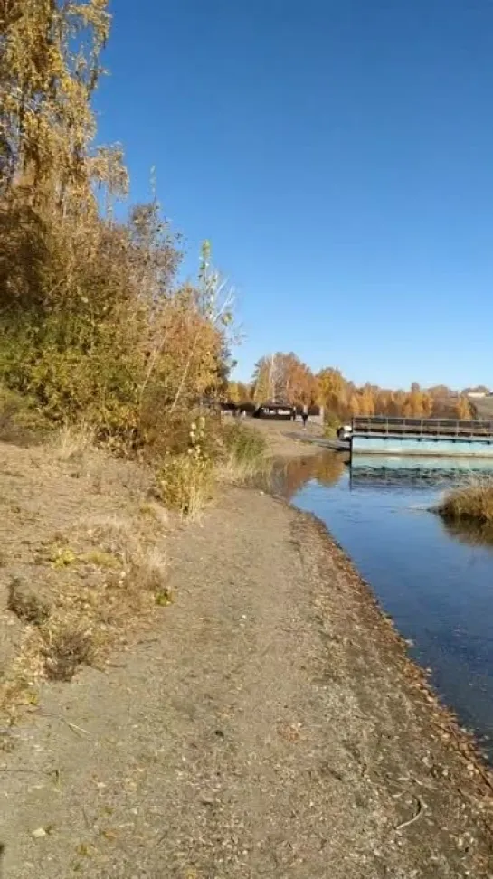 Видео от Сергея Туркова