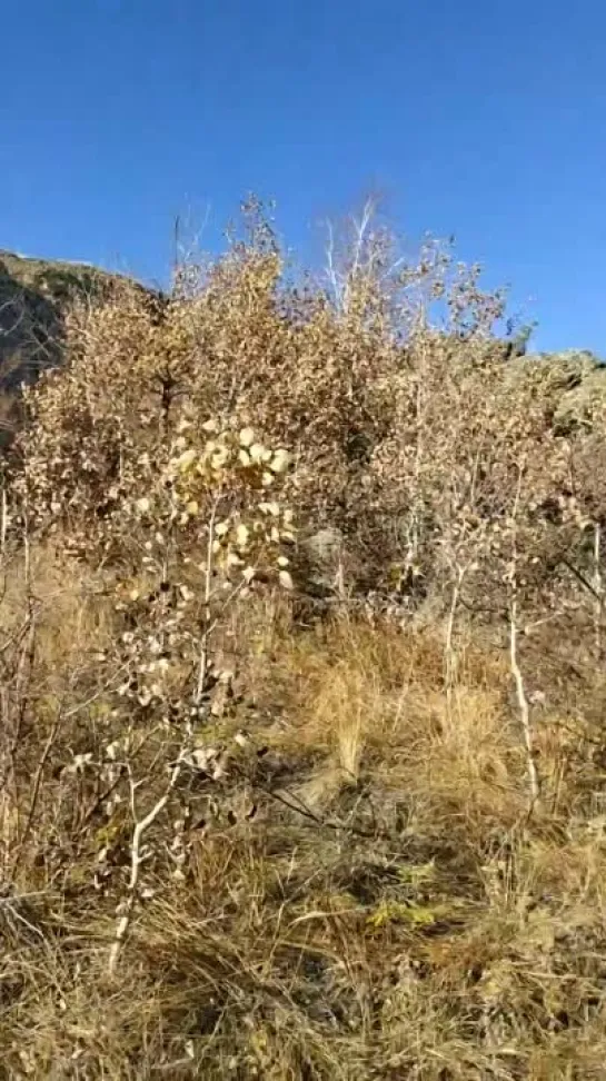 Видео от Сергея Туркова