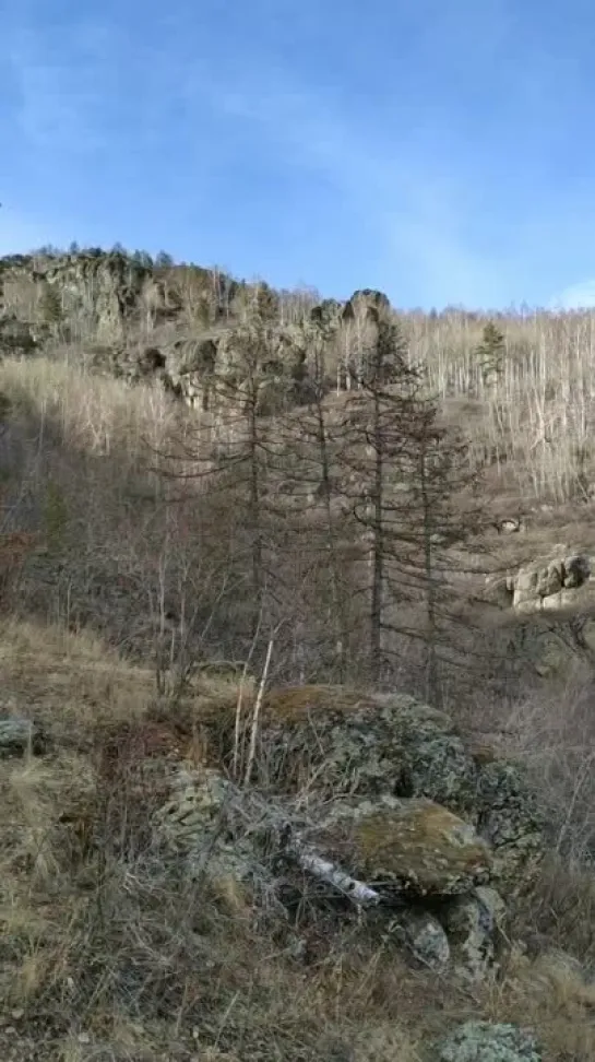 Видео от Сергея Туркова