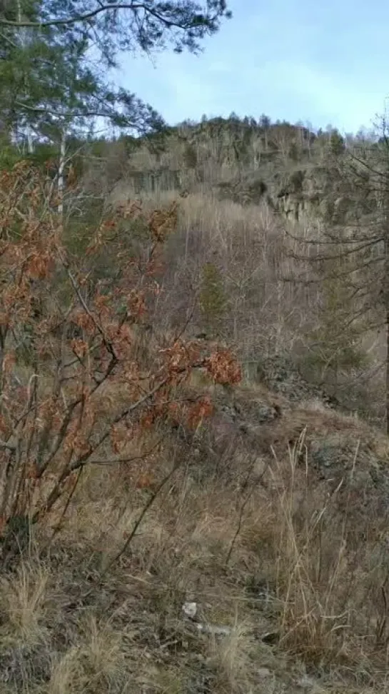 Видео от Сергея Туркова