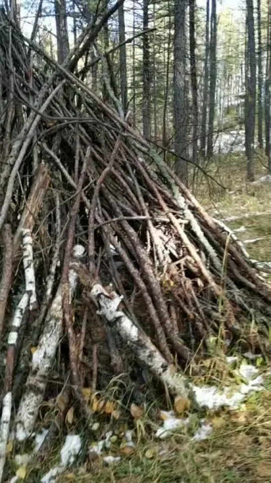 Видео от Сергея Туркова