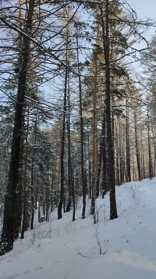 Видео от Сергея Туркова