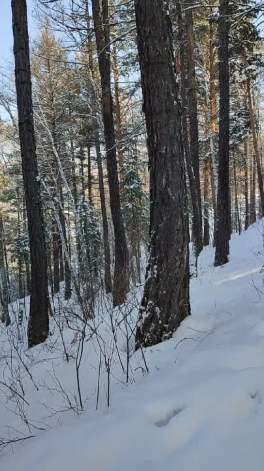 Видео от Сергея Туркова