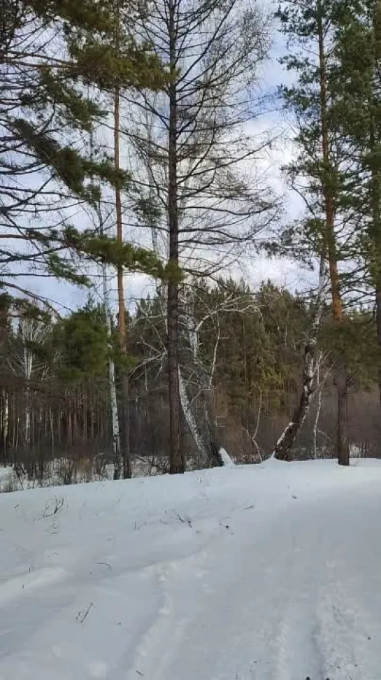 Видео от Сергея Туркова