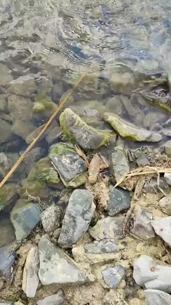 Видео от Сергея Туркова