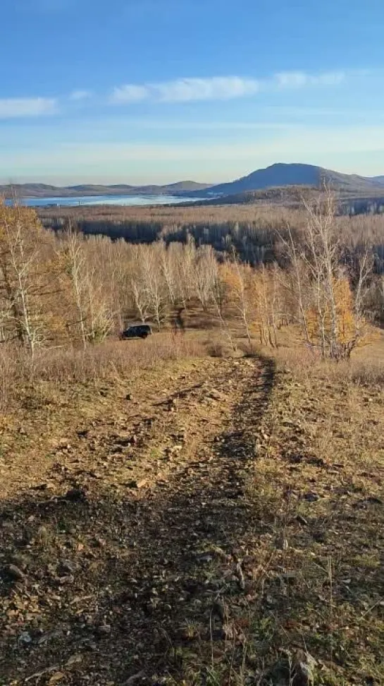 Видео от Сергея Туркова