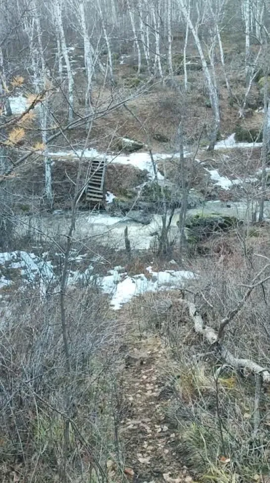 Видео от Сергея Туркова