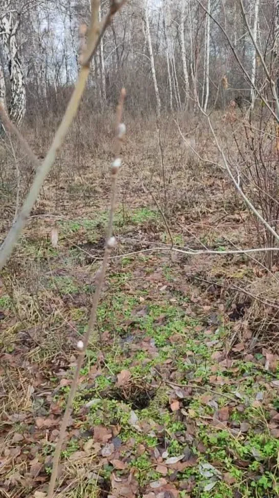 Видео от Сергея Туркова