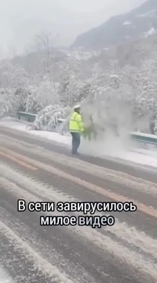 Милый полицейский помог снежным веточкам ❄