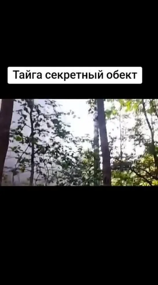 Видео от Atali Bird