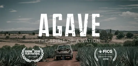 Agave: Spirit of a Nation (Mexico, 2018) dir. Nick Kovacic, Matthew Riggieri