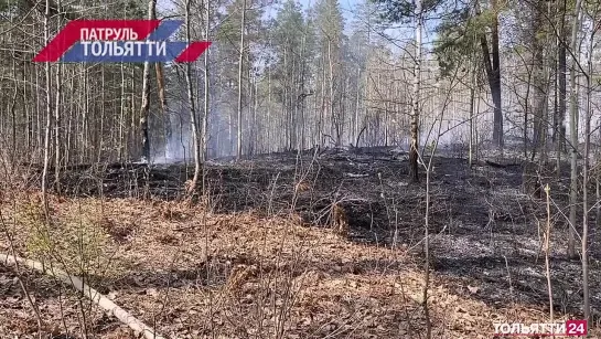 «Патруль Тольятти» 12.04.2023