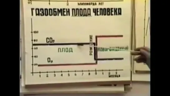 Бутейко. Фильм