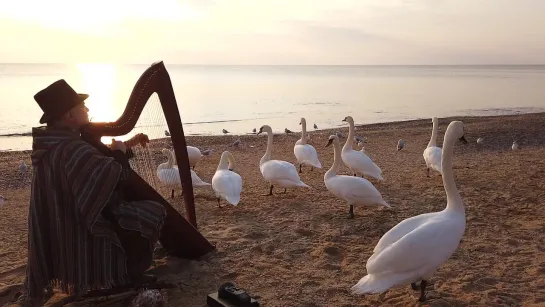 Alizbar / Relax music /Celtic harp / Sounding Swan Grace /Кельтская арфа/Лебединая стая