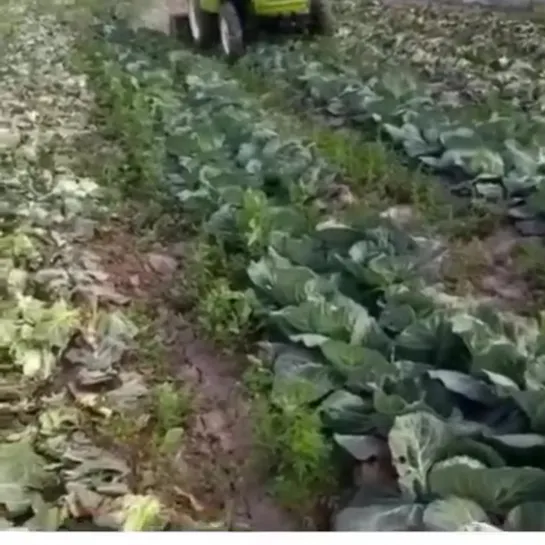 Видео от Евгения Бёрга