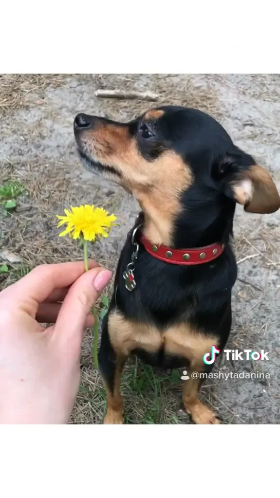 Видео от Маши Даниной