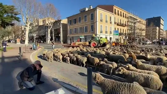 Видео от «Суть времени» основная группа