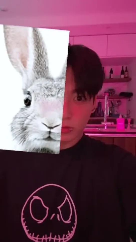 jungkook did the what animal is your twin filter and got A BUNNY