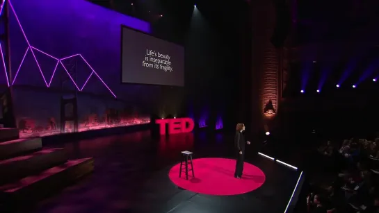 Видео от TED TALKS | видео на русском языке