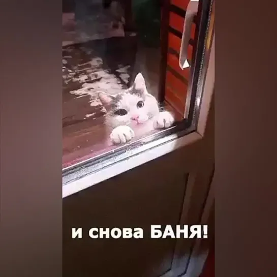 Видео от Шредингер Шутит