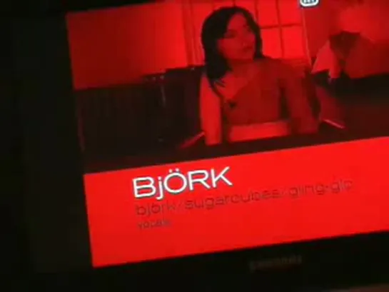 Bjork - Interview On Inspiration