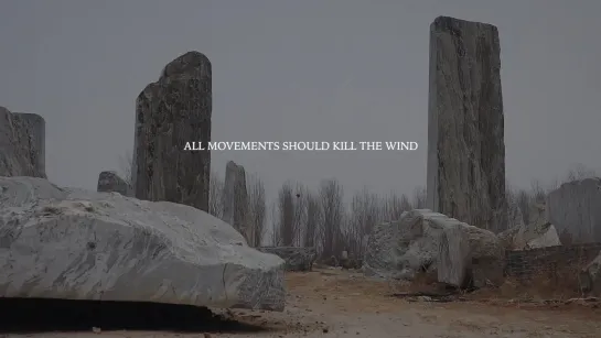 All Movements Should Kill the Wind / 所有动作都应杀死风 (2019) dir. Wang Yuyan