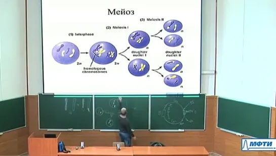 Лекция №5. Деление клеток.Митоз и мейоз.