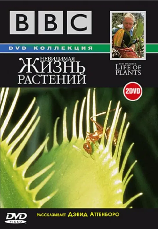 BBC: Невидимая жизнь растений (1995 г.) / The Private Life of Plants / 6 серий