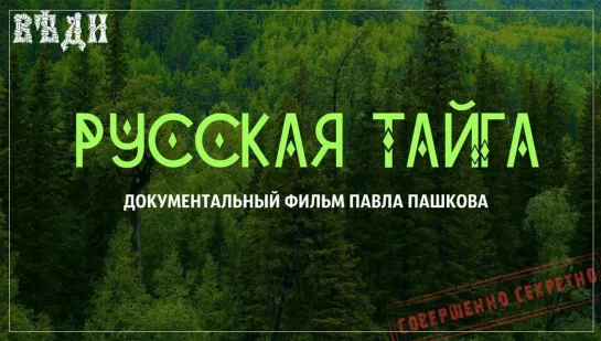 ФИЛЬМ «РУССКАЯ ТАЙГА» О МАСШТАБНЫХ ВЫРУБКАХ В СИБИРИ