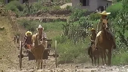 Dos pistoleros violentos - 1985