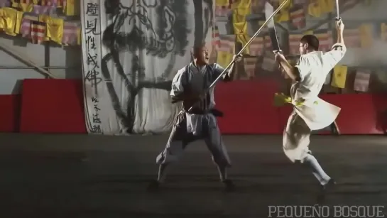 Motivação Shaolin.