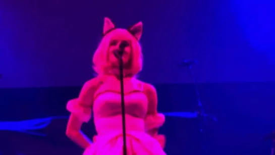 Poppy - 2022 - Breeders - Live in Milwaukee