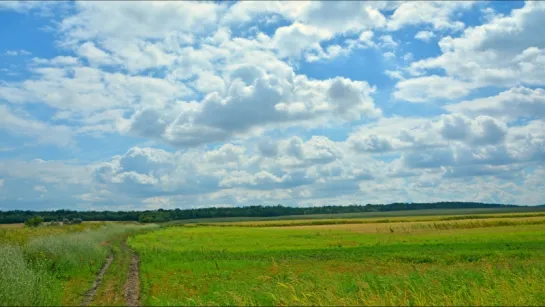 ~ СТЕПНЫЕ КРАСОТЫ ~ Автор Евгений Полис