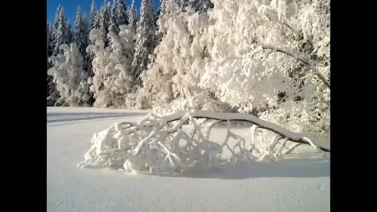 Волшебная музыка зимы. Падал снег Очень красивая музыка!  Falling snow Very beautiful music!