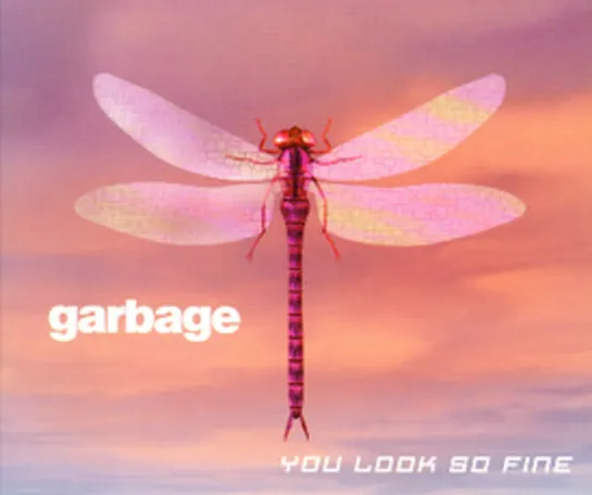 Garbage -  You Look So Fine (1999)