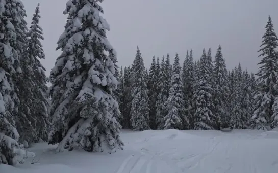 Алексей Архиповский  - Маленькая вещь (фото окрестности г. Иремель)