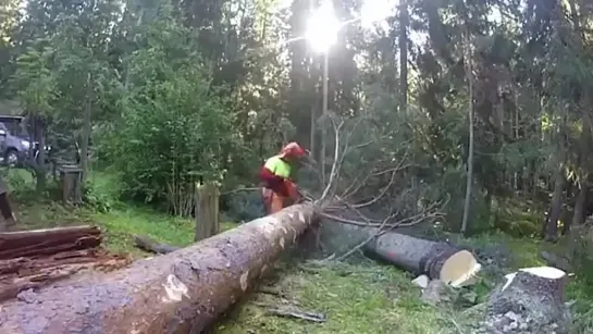 Видео от Школа строительства