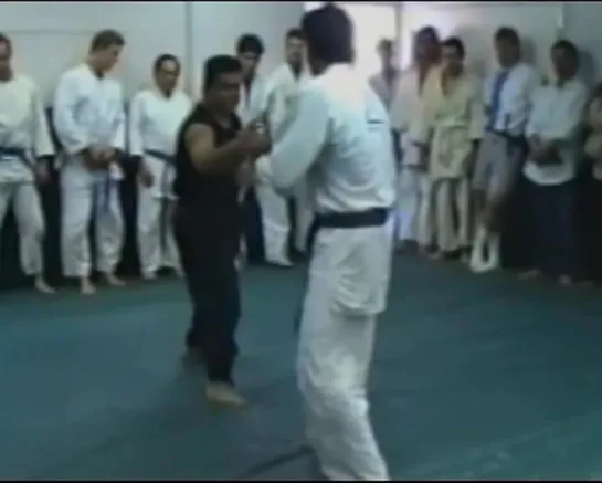 Бои представителей семьи Грейси (Gracie).