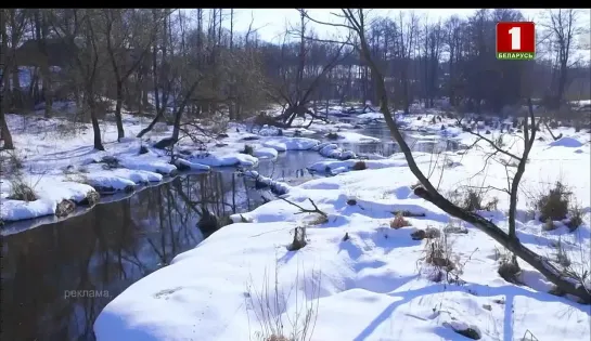 Рекламный блок (Беларусь-1, 01.03.2022)