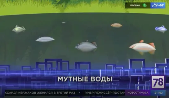 Мутные воды. Неделя в Петербурге. 05.06.22