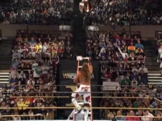 Shawn Michaels vs. Razor Ramon (c), Ladder match, for WWF Intercontinental Title