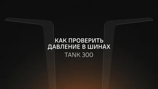 Как проверить давление в шинах внедорожника TANK 300?