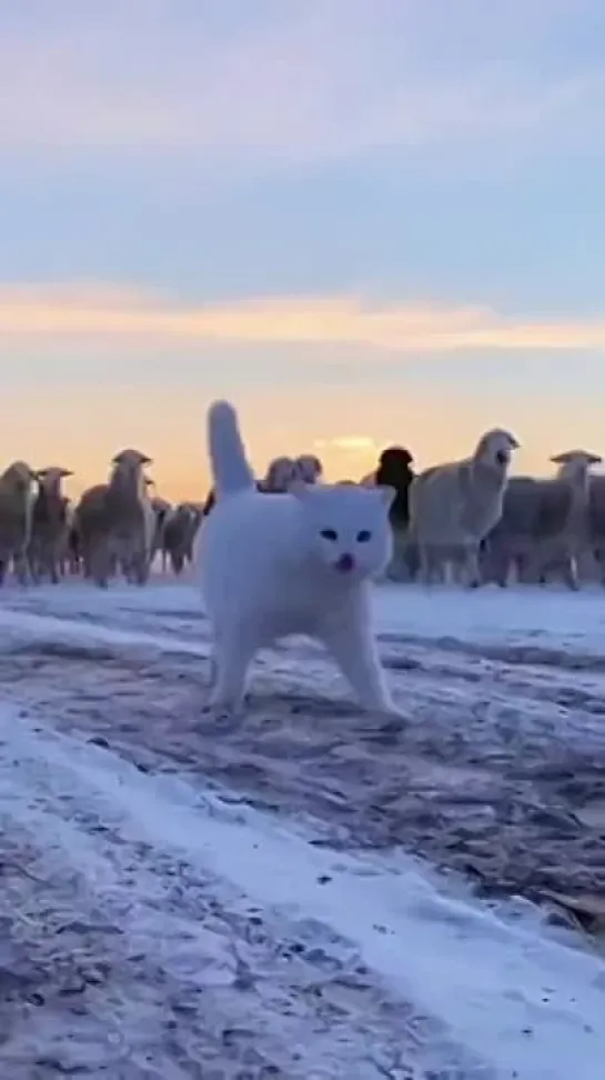 Видео от Путь к себе ☼ Самопознание