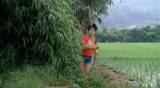 Hou Hsiao-Hsien. "Xi meng ren sheng" (Лето у дедушки, 1984)