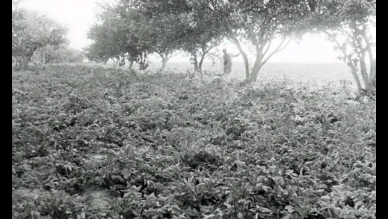 Uski Roti (Mani Kaul, 1970)