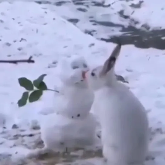 Видео от Злая Панда