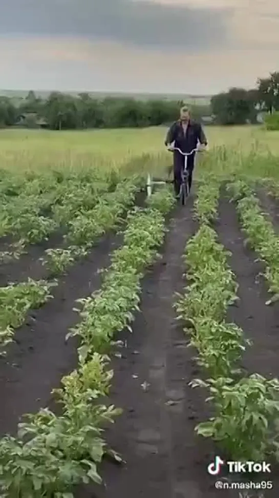 Видео от СБИЛСЯ С РЕЖИМА