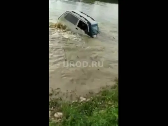 Чеченцы утопили Ниву