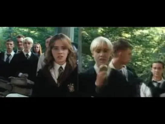 Draco/Hermione/Ron - What have you done